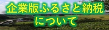 企業版ふるさと納税について