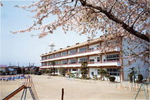 大郷小学校の写真
