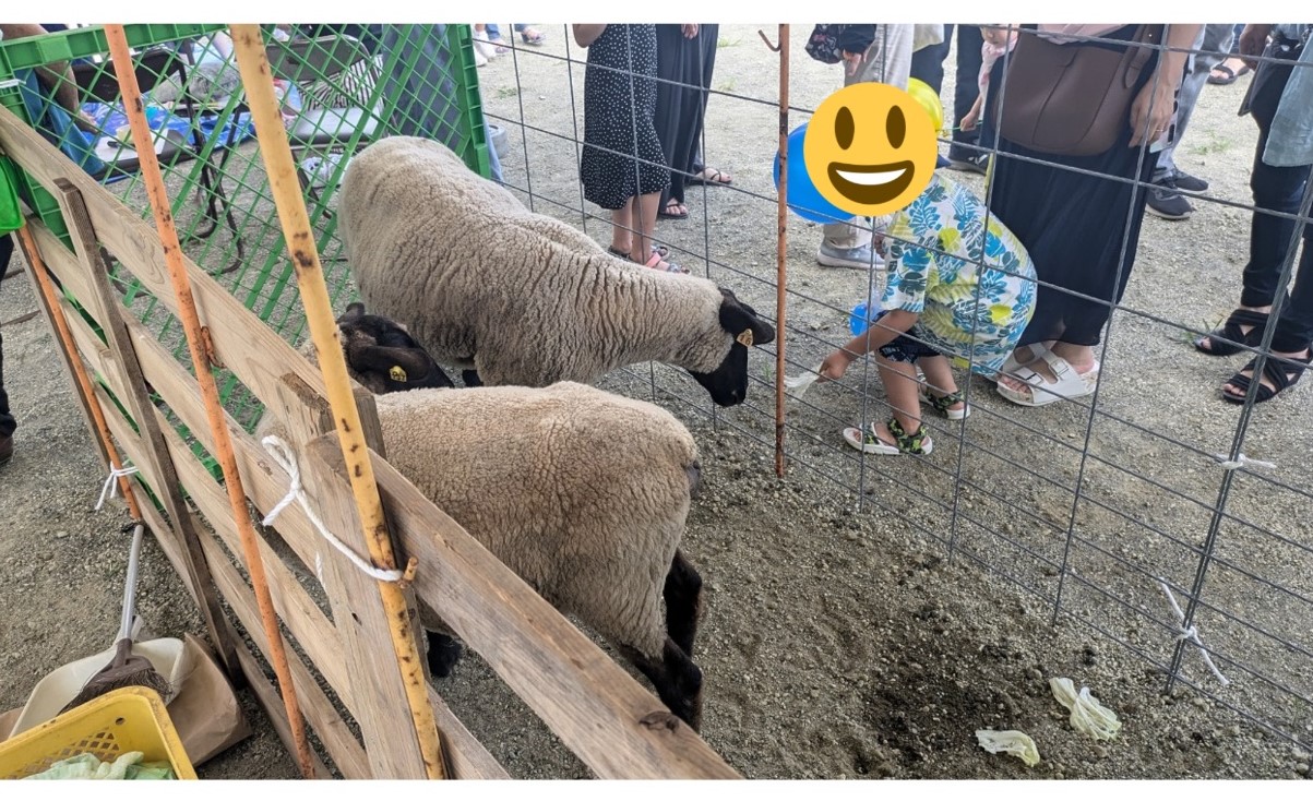 イベント写真