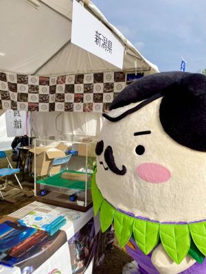 全国都市緑化仙台フェア
