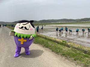 明成高校　田植え