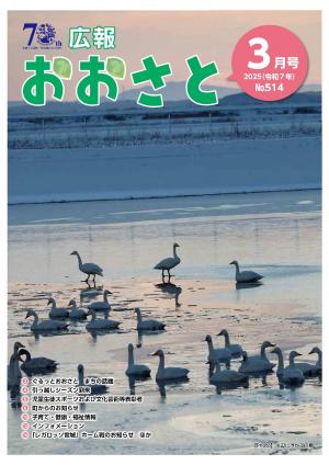 広報おおさと3月号