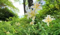 勢見ヶ森公園
