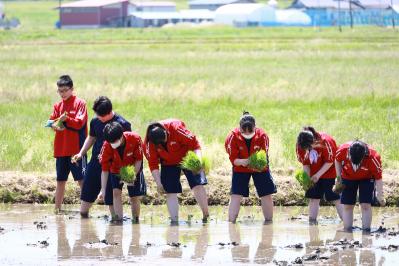 田植え1