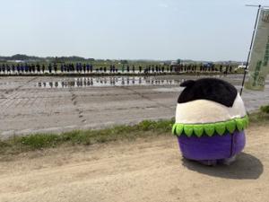 明成高校田植え